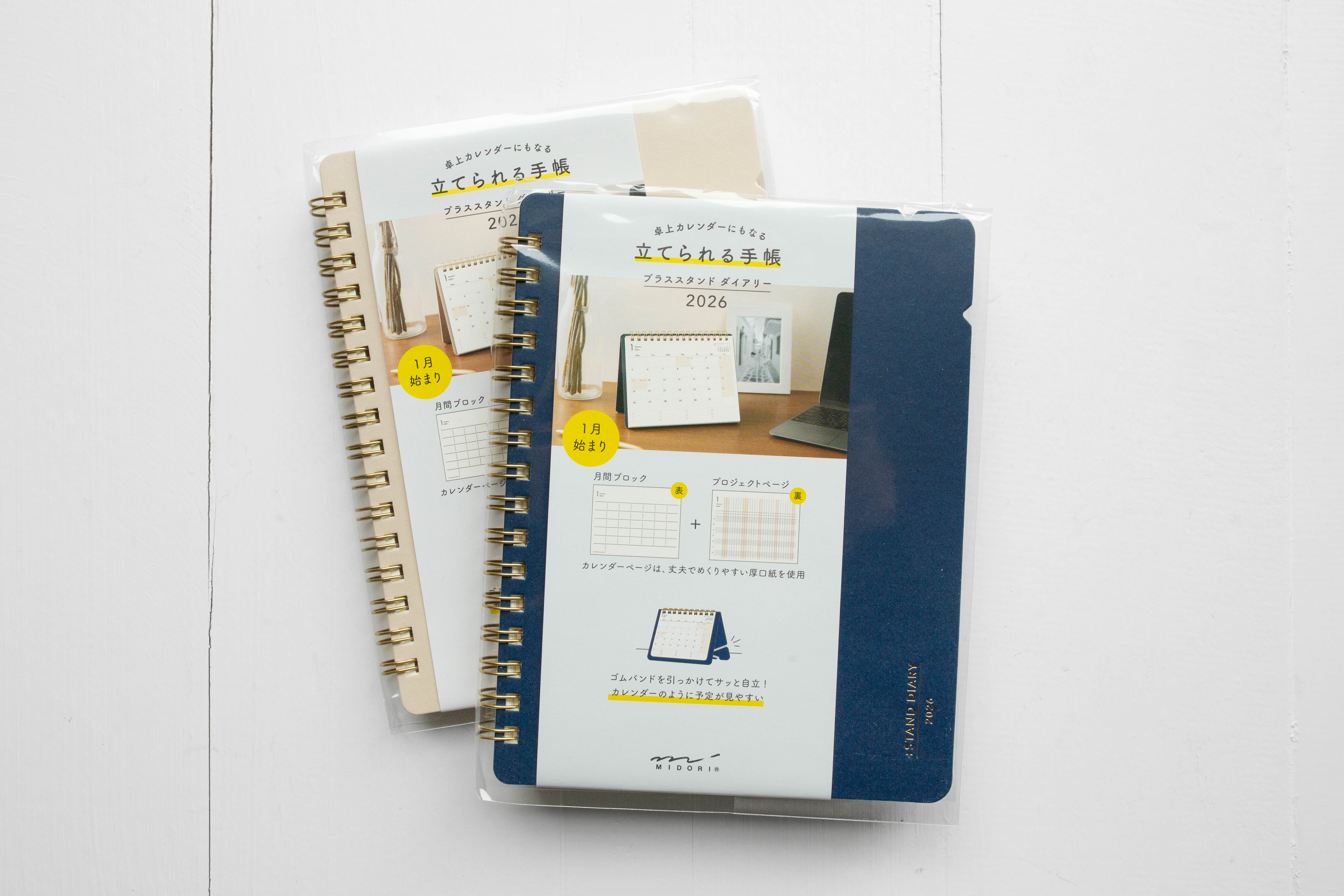 2026 Plus Stand Diary  - B6