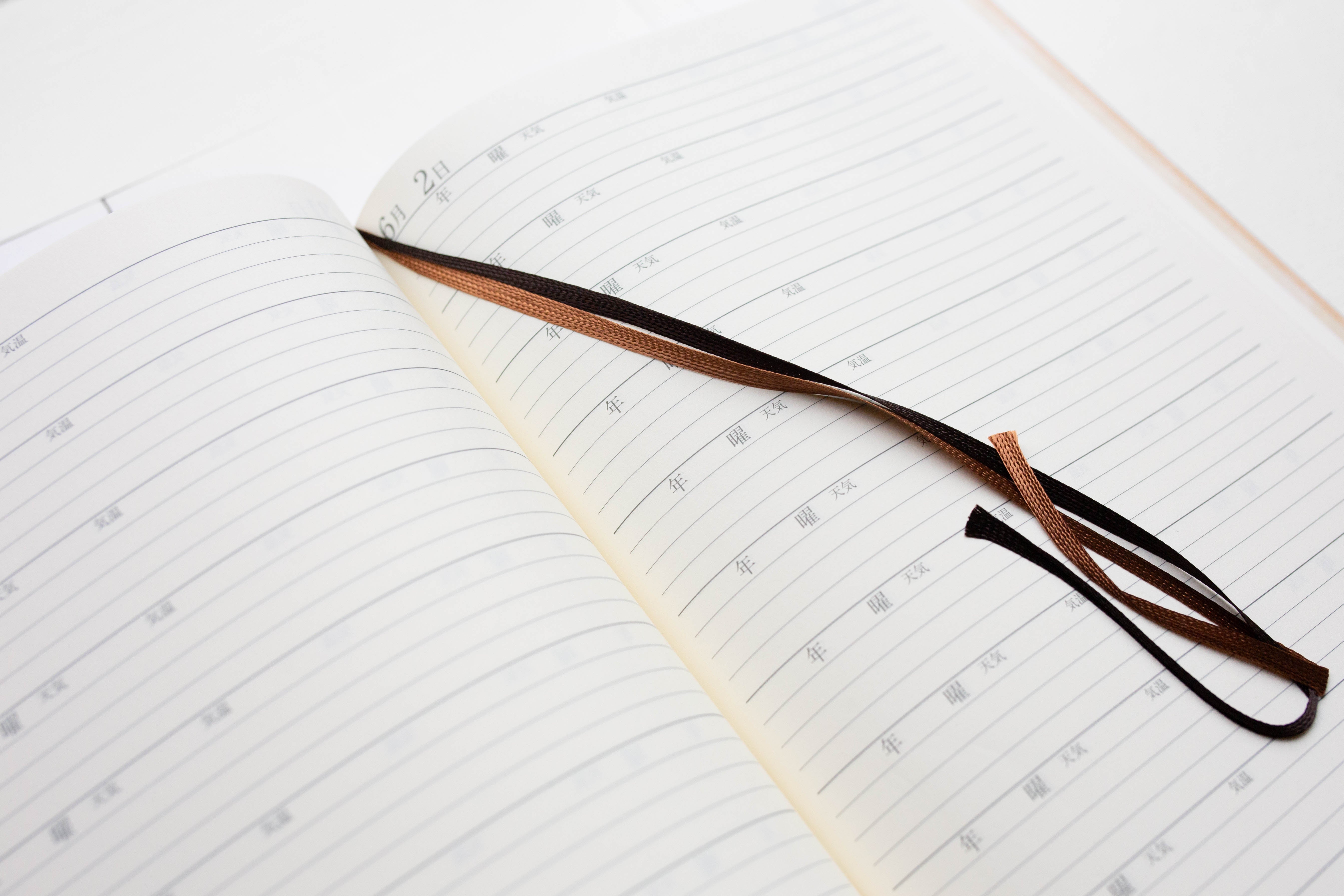 10-Year Diary - Classic