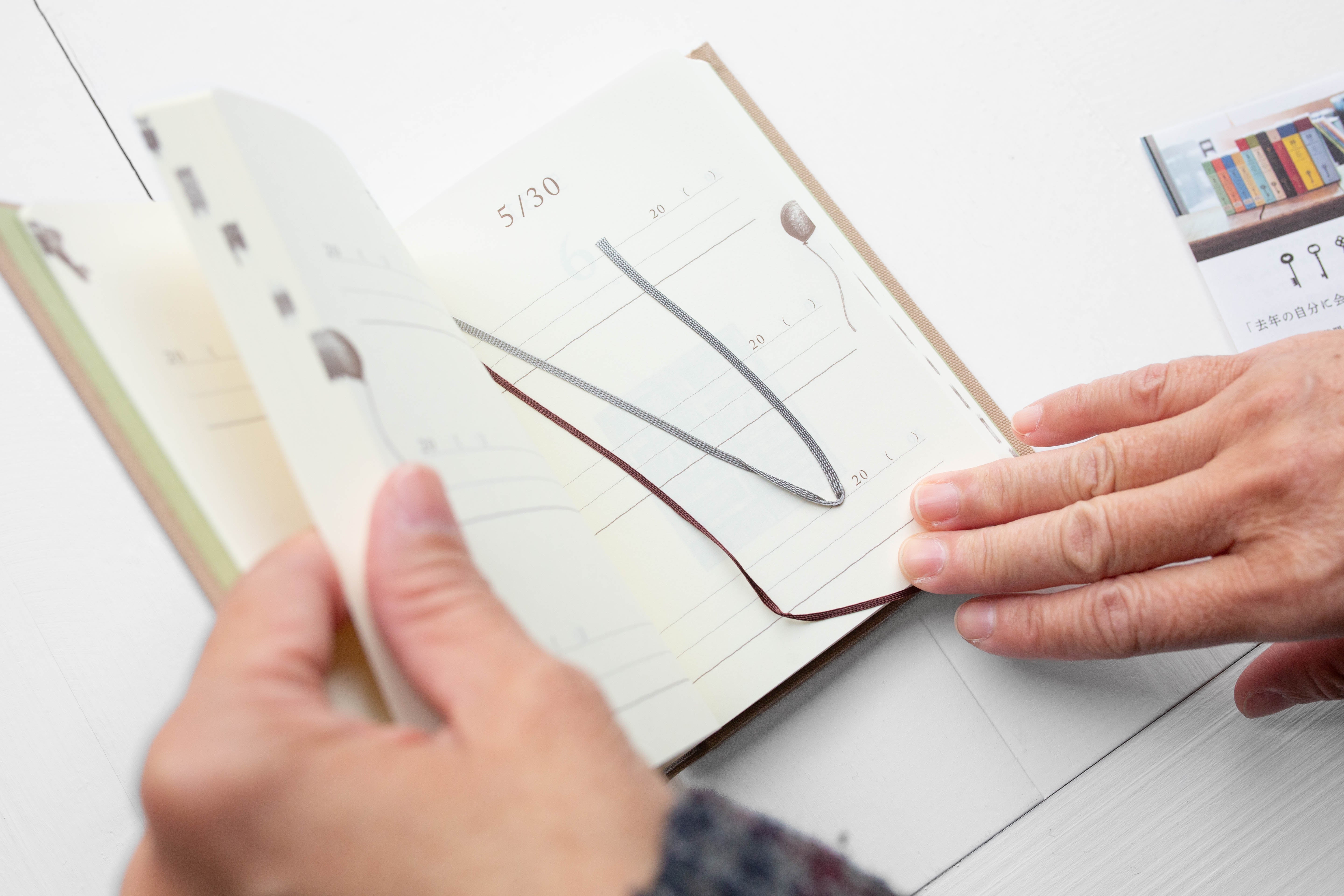 3 Year Journal - Mini