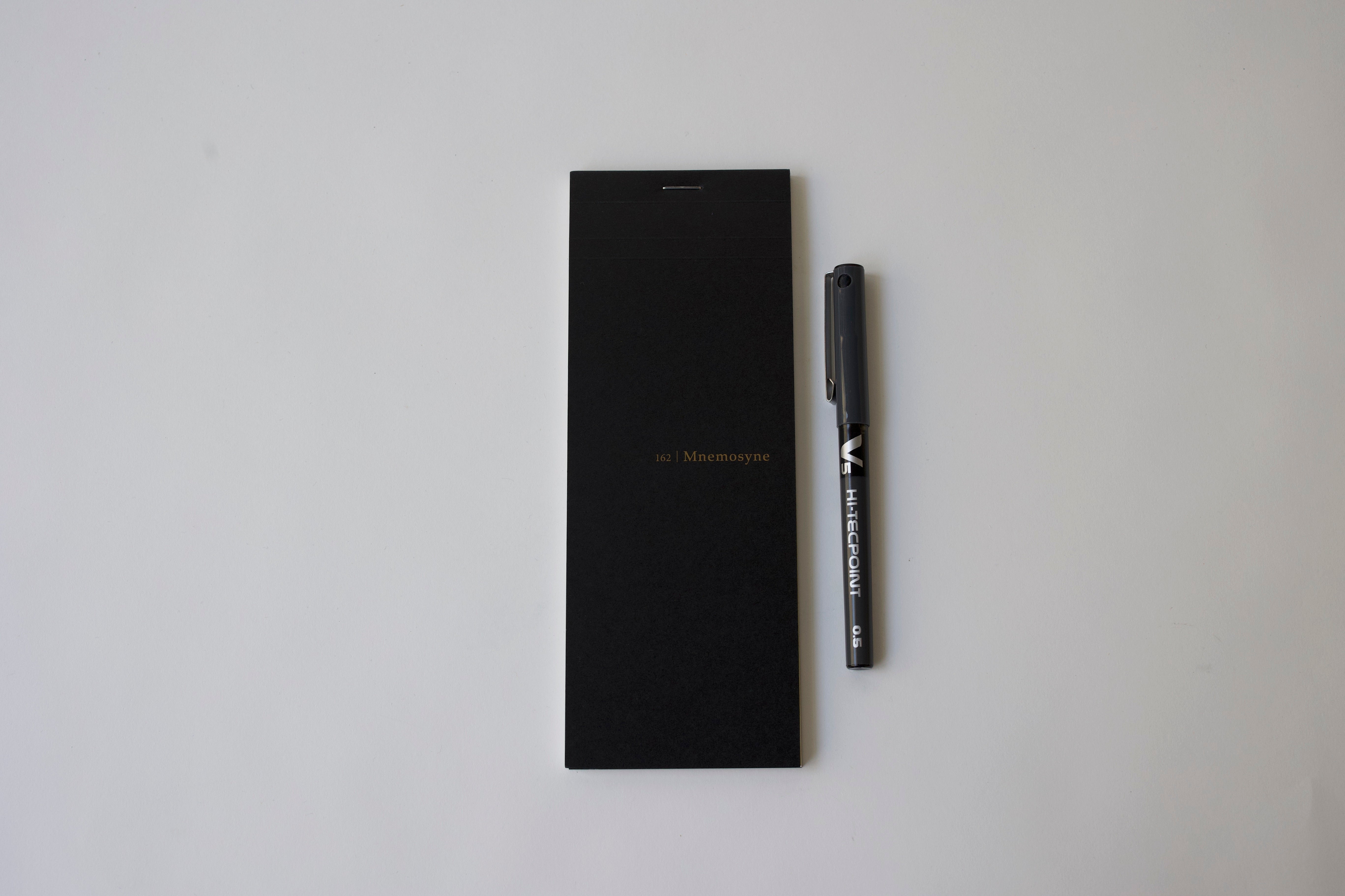 Maruman Mnemosyne 200x75 mm Gridded Memo Pad