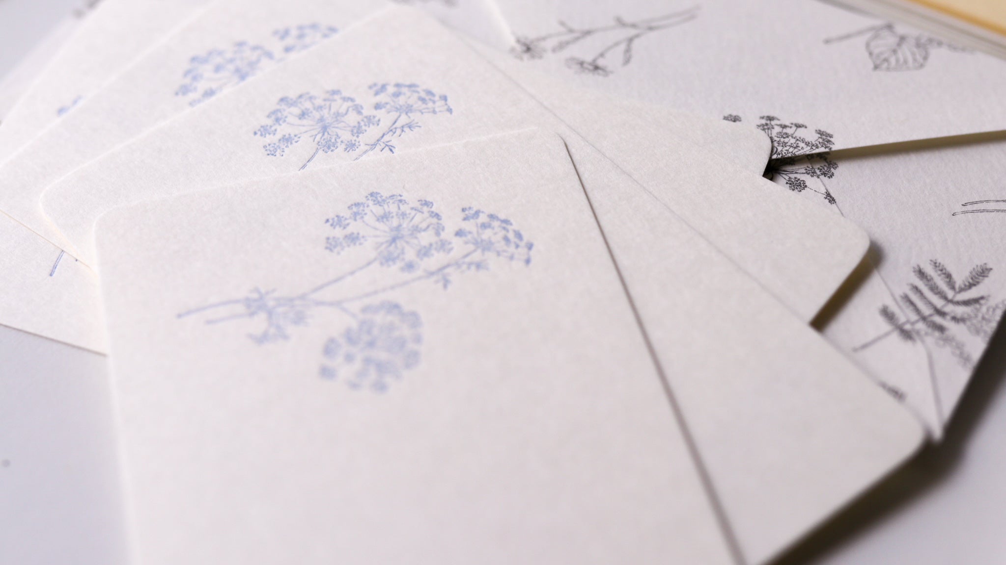 Midori Card Set - Floral Color Washi Paper
