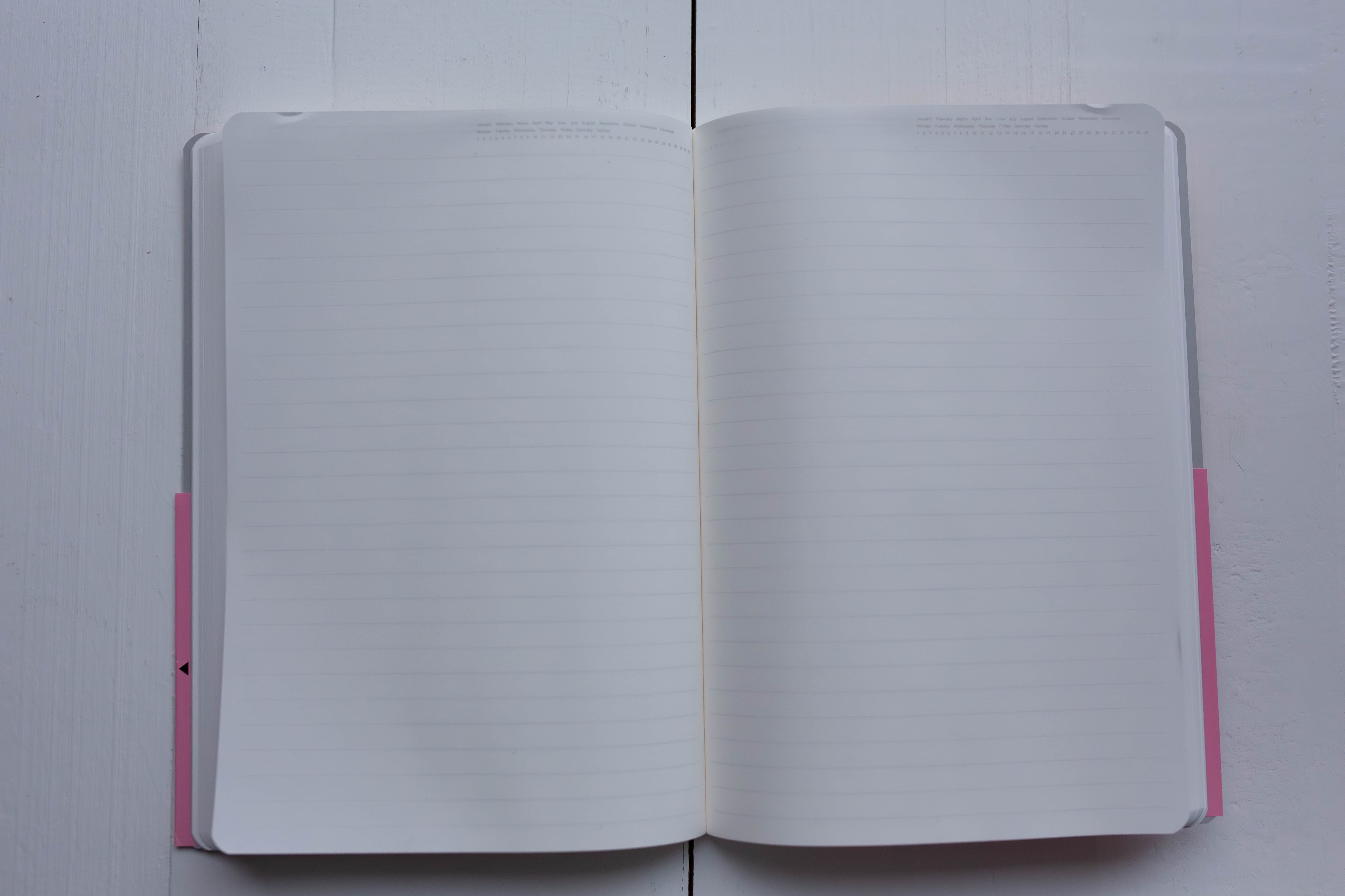 Stalogy 018 Editor's Series 365 Days Notebook A5 - Lined