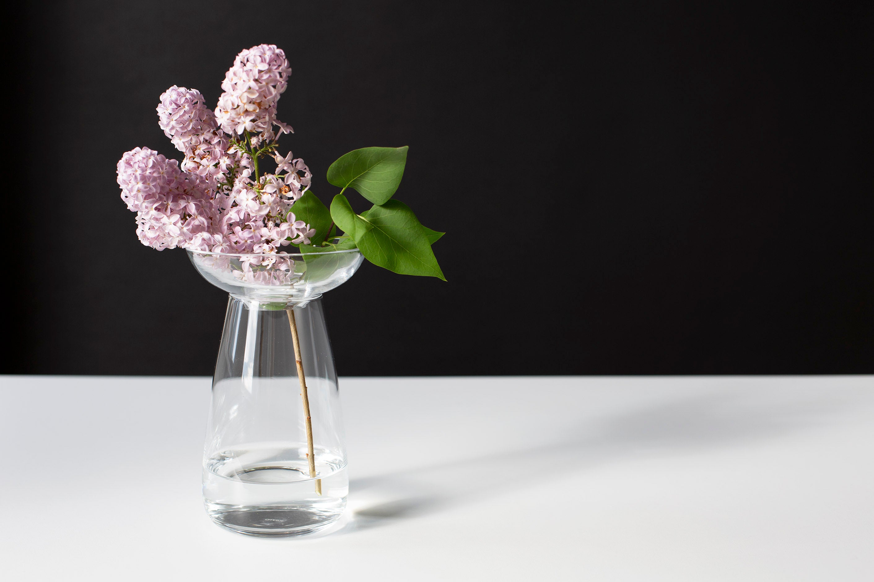 Kinto Aqua Culture Vase - 120mm