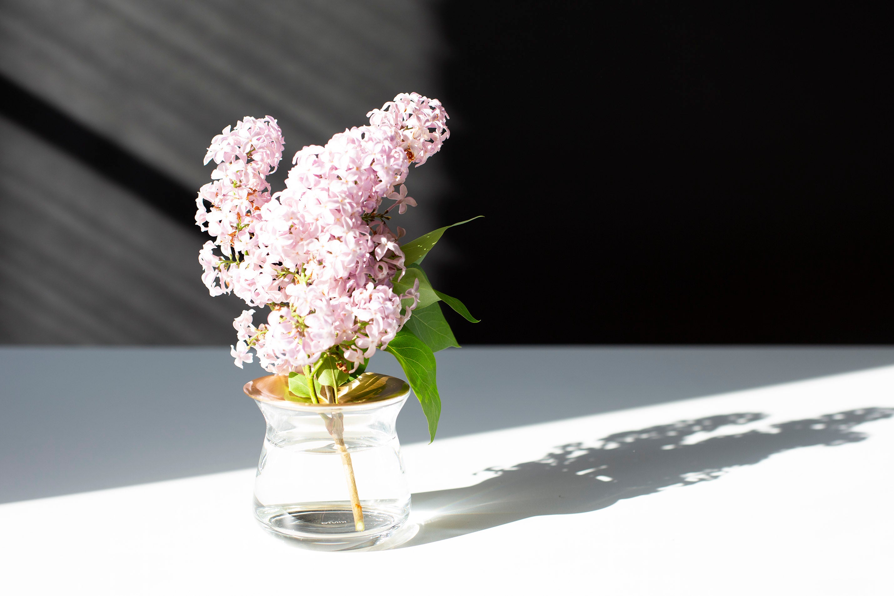 Kinto Luna Vase - Small