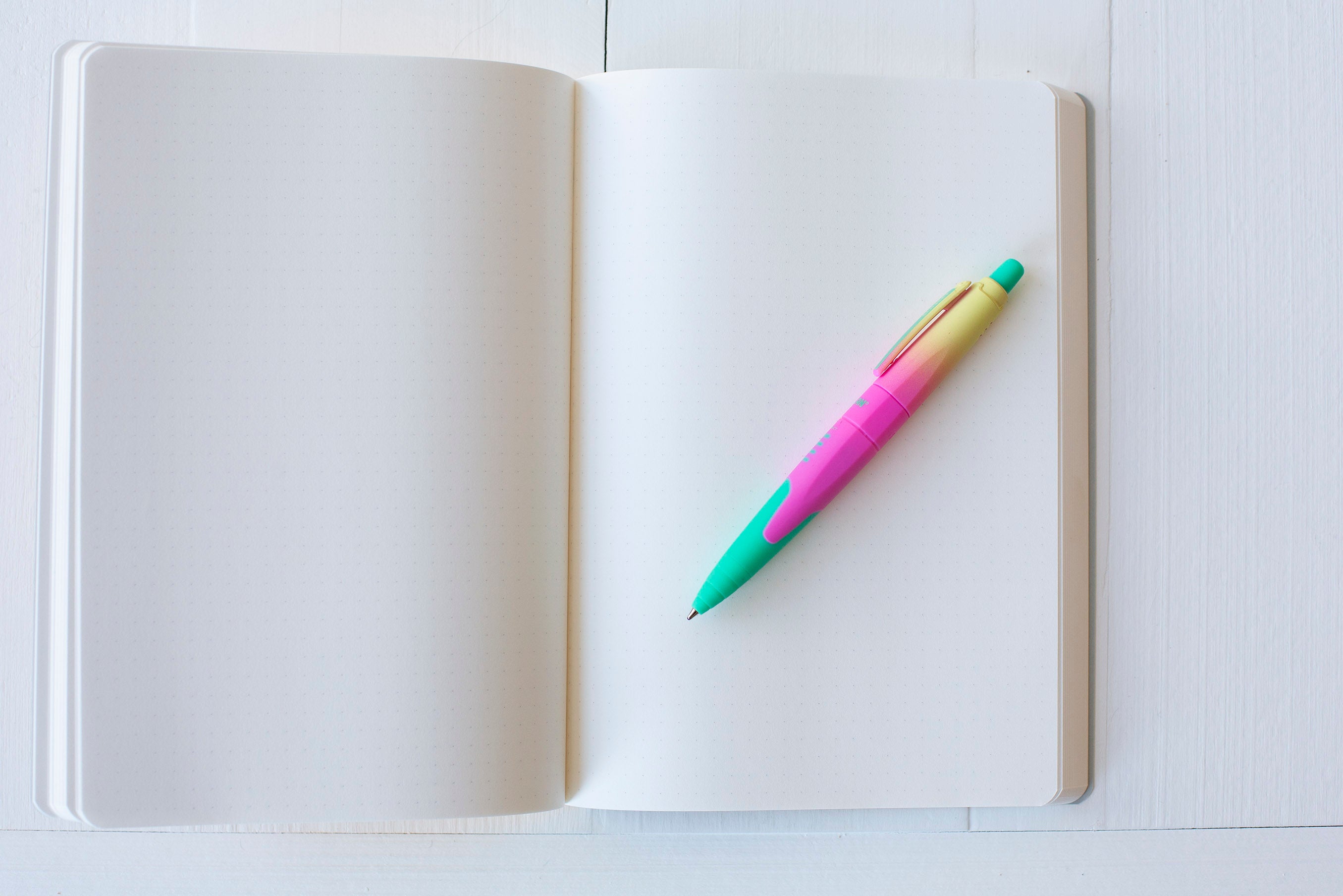 Stalogy 018 Editor's Series 365 Days Notebook A5 - Dot
