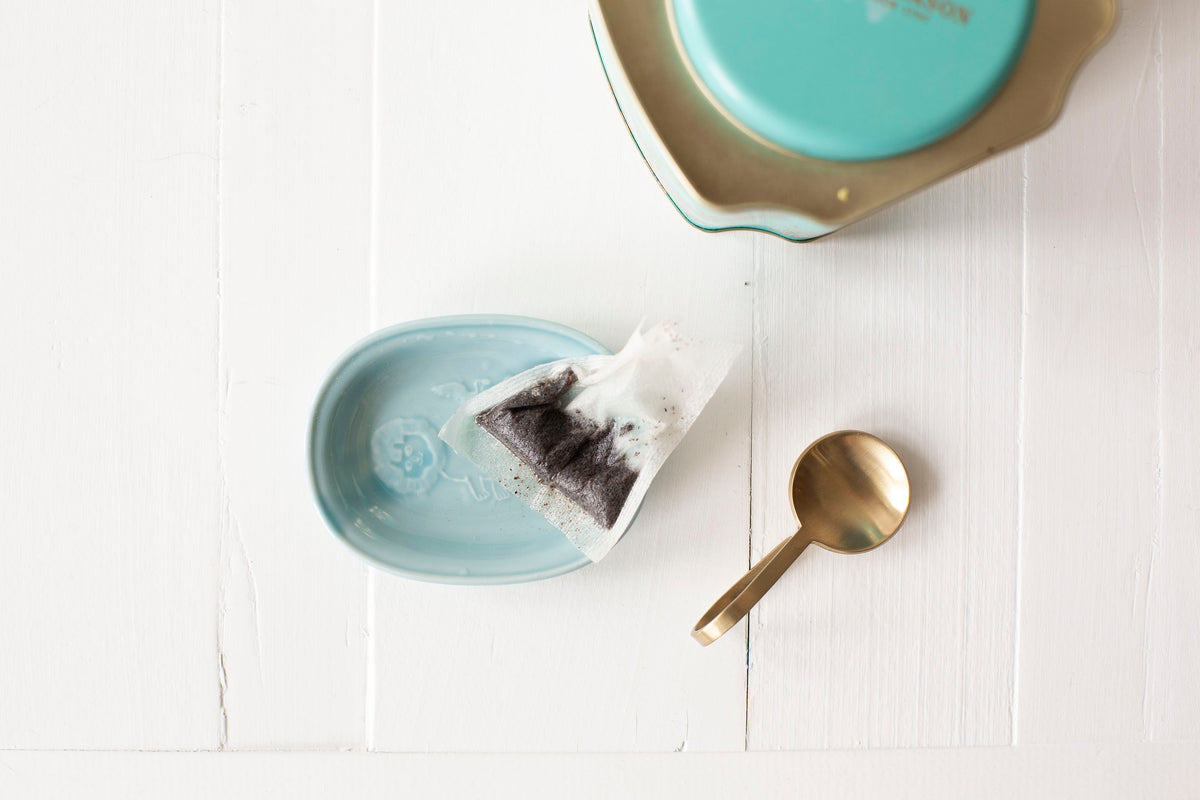 Toranekobonbon Oval Small Dish Blue - Lion