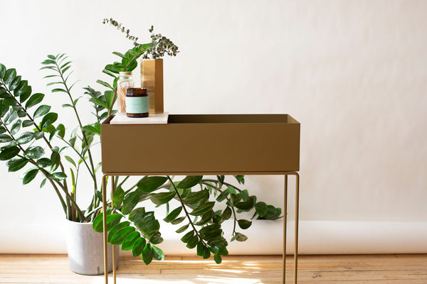 Plant Box - Small – 26 Market