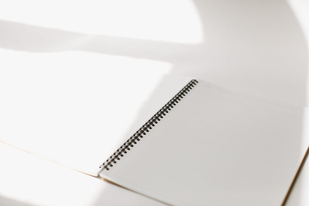 Maruman Mnemosyne A4 Notebook - lined