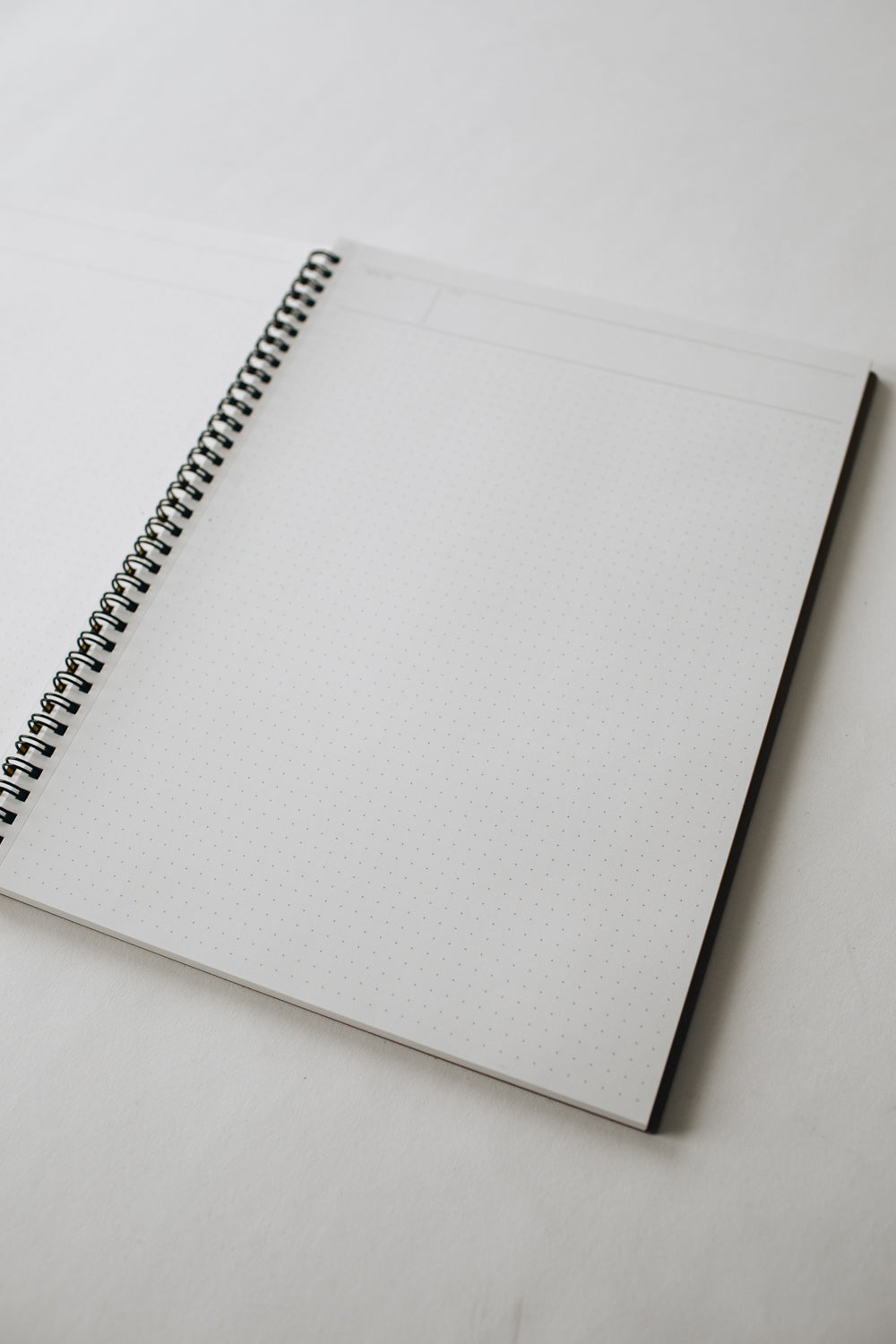Maruman Mnemosyne A4 Notebook - Dot Grid