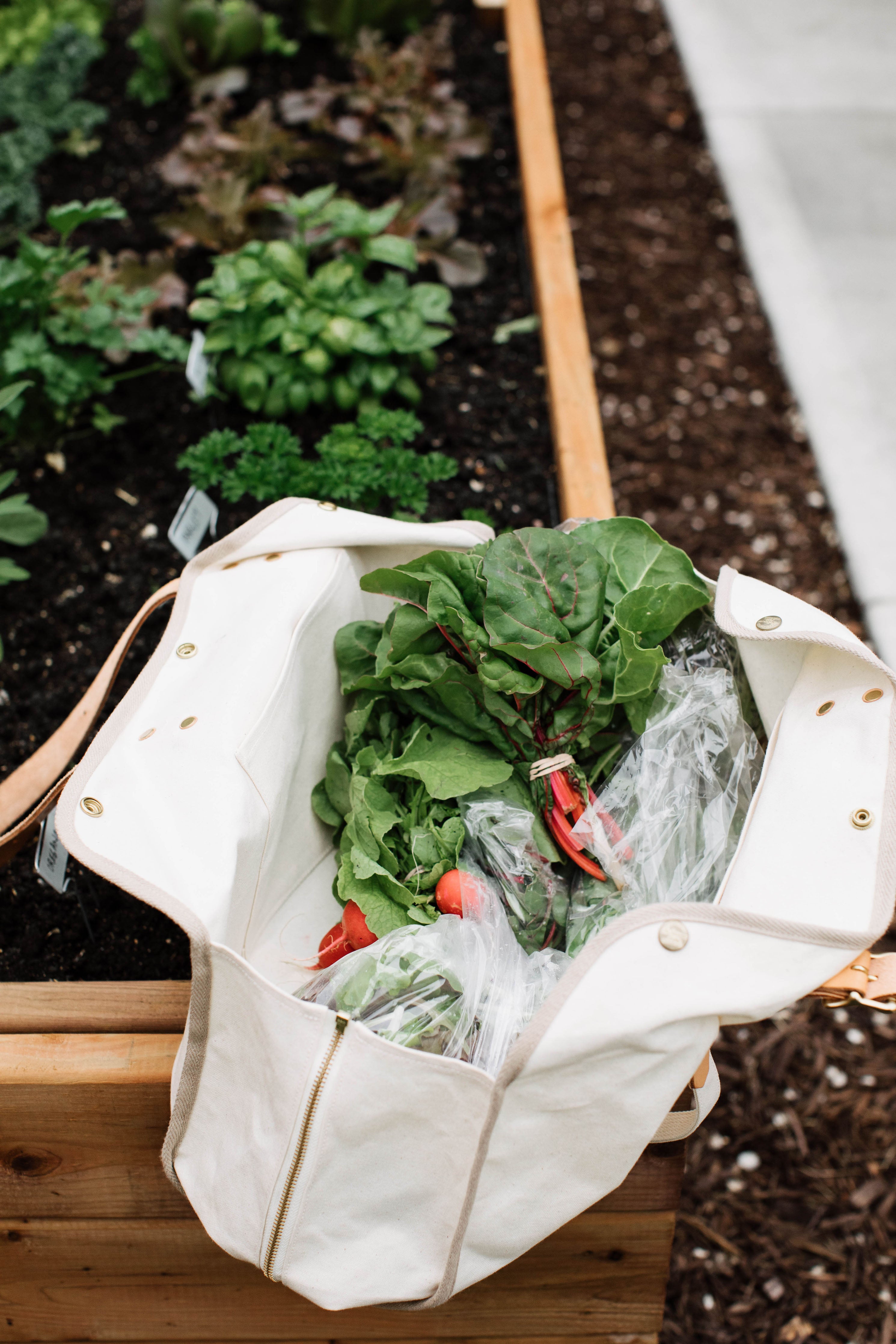 Market Tote Bag