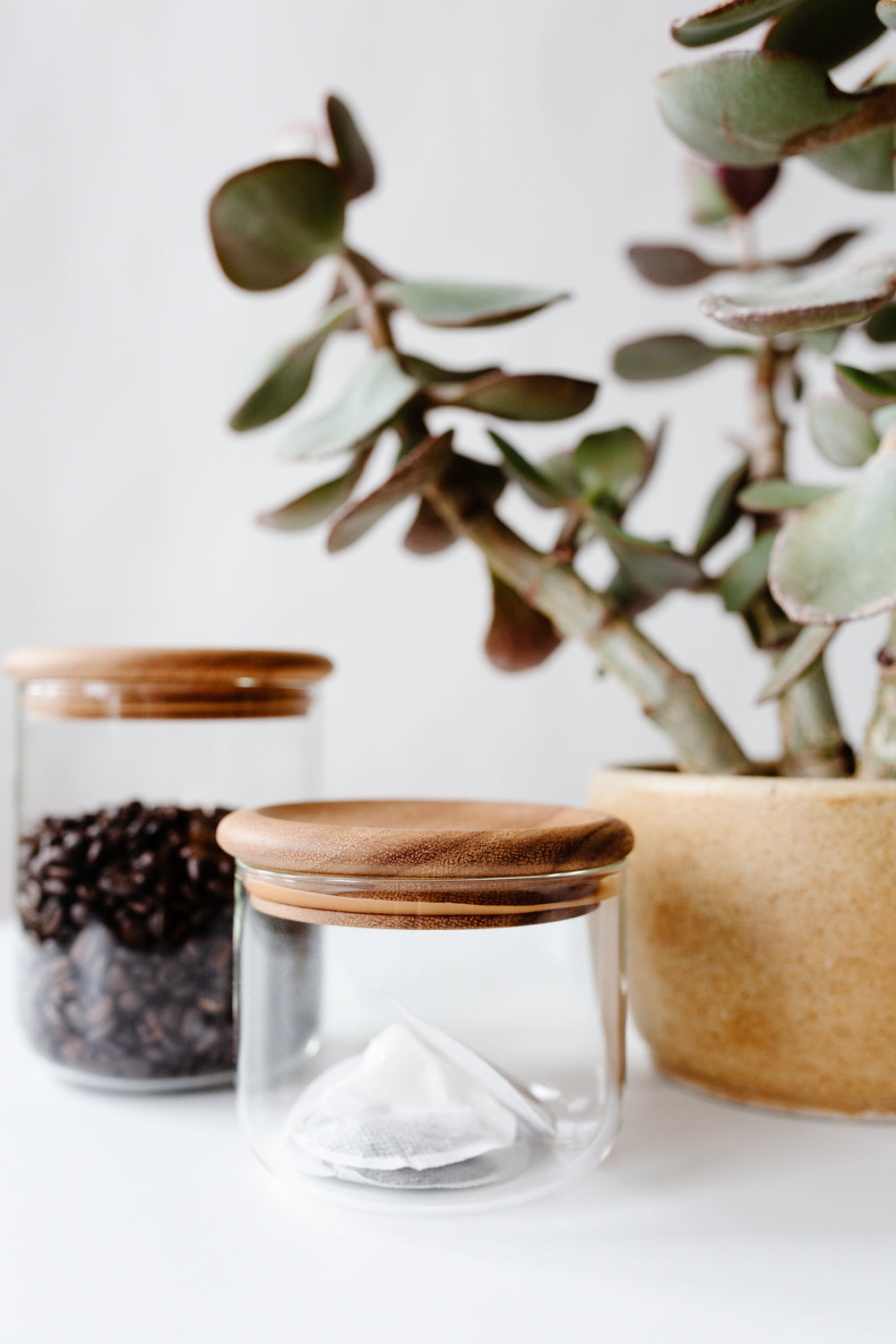 KINTO Baum Neu Canister