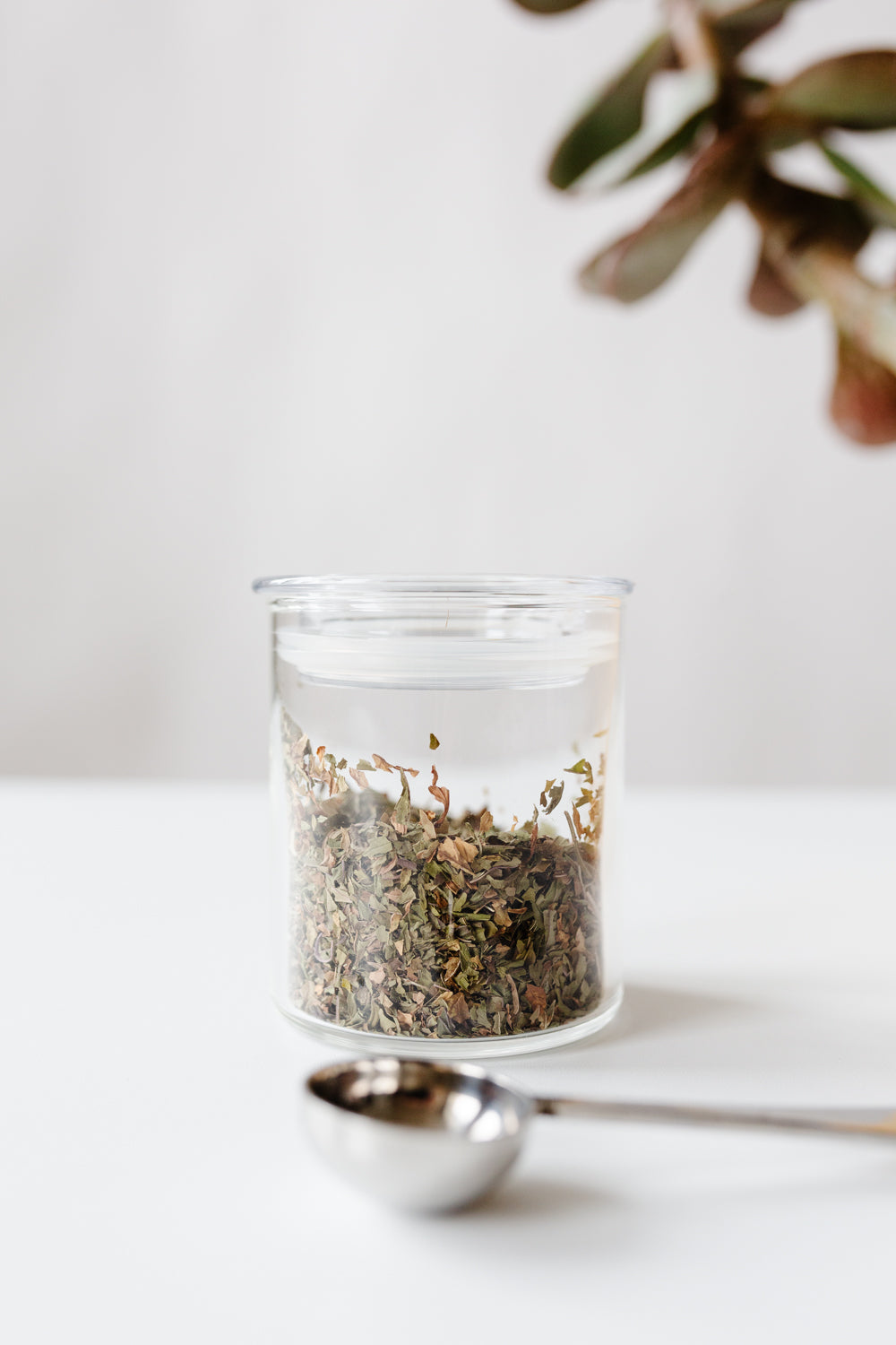 KINTO Hario Skinny Canister