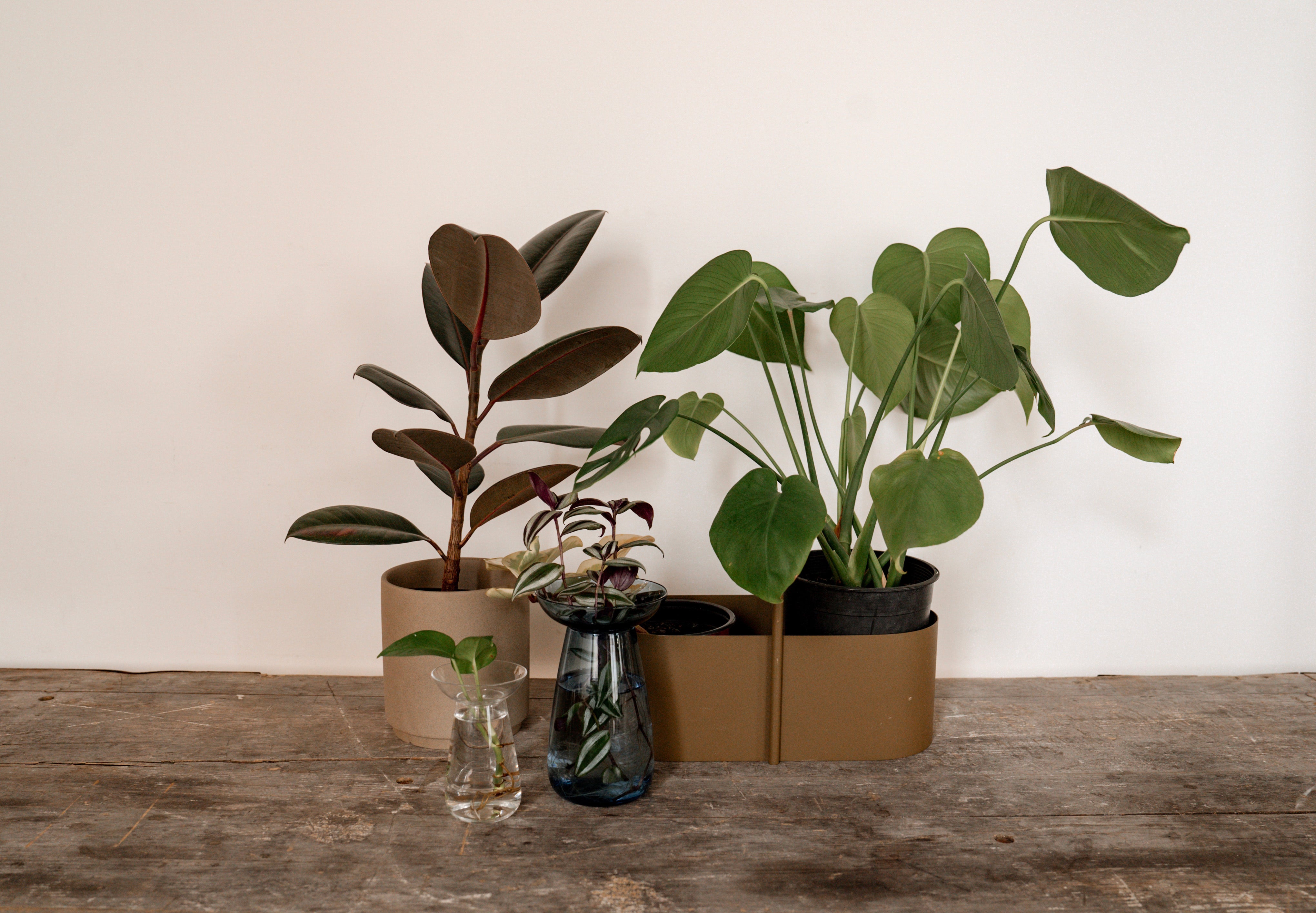 Enhance Your Plant Displays