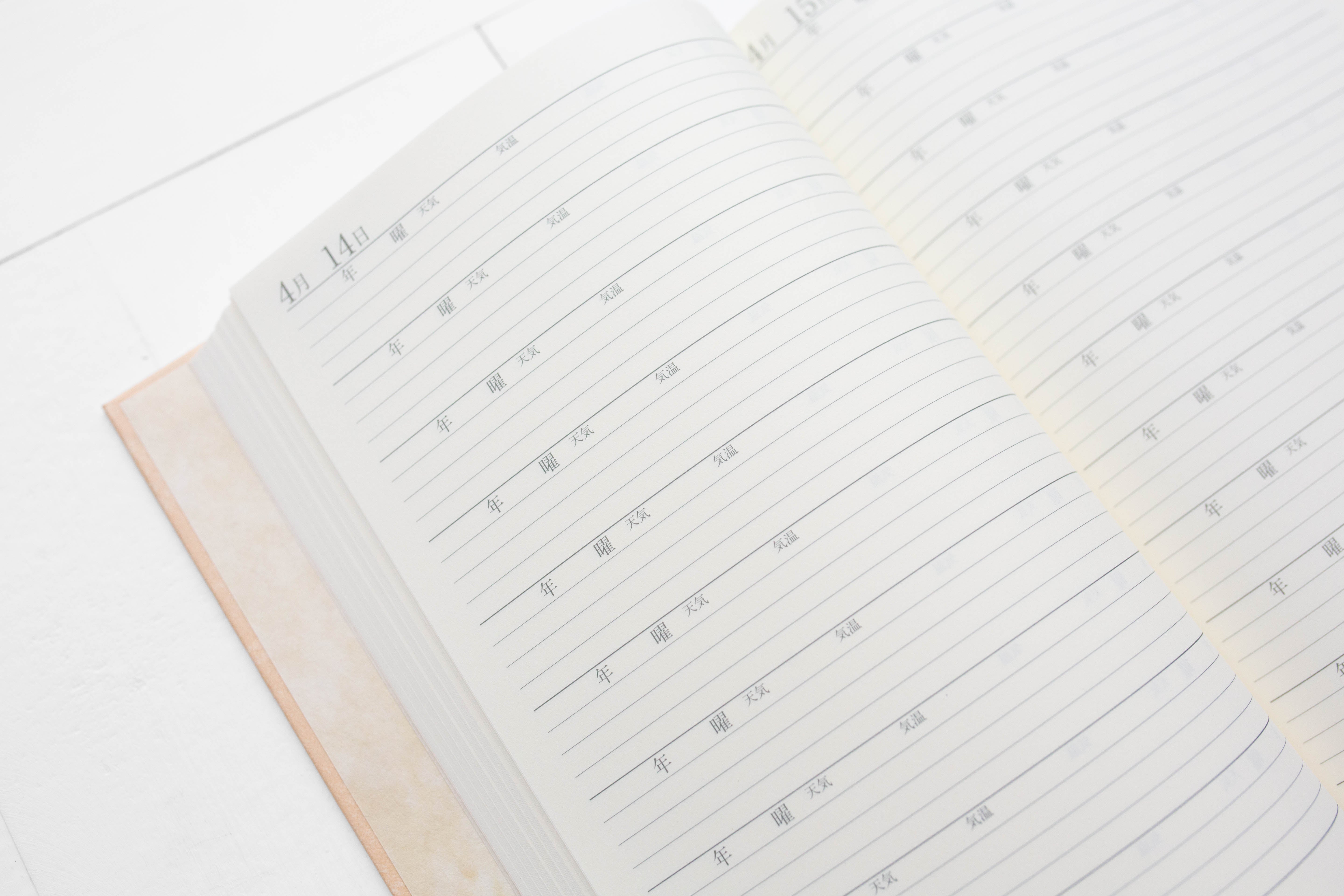 10-Year Diary - Classic