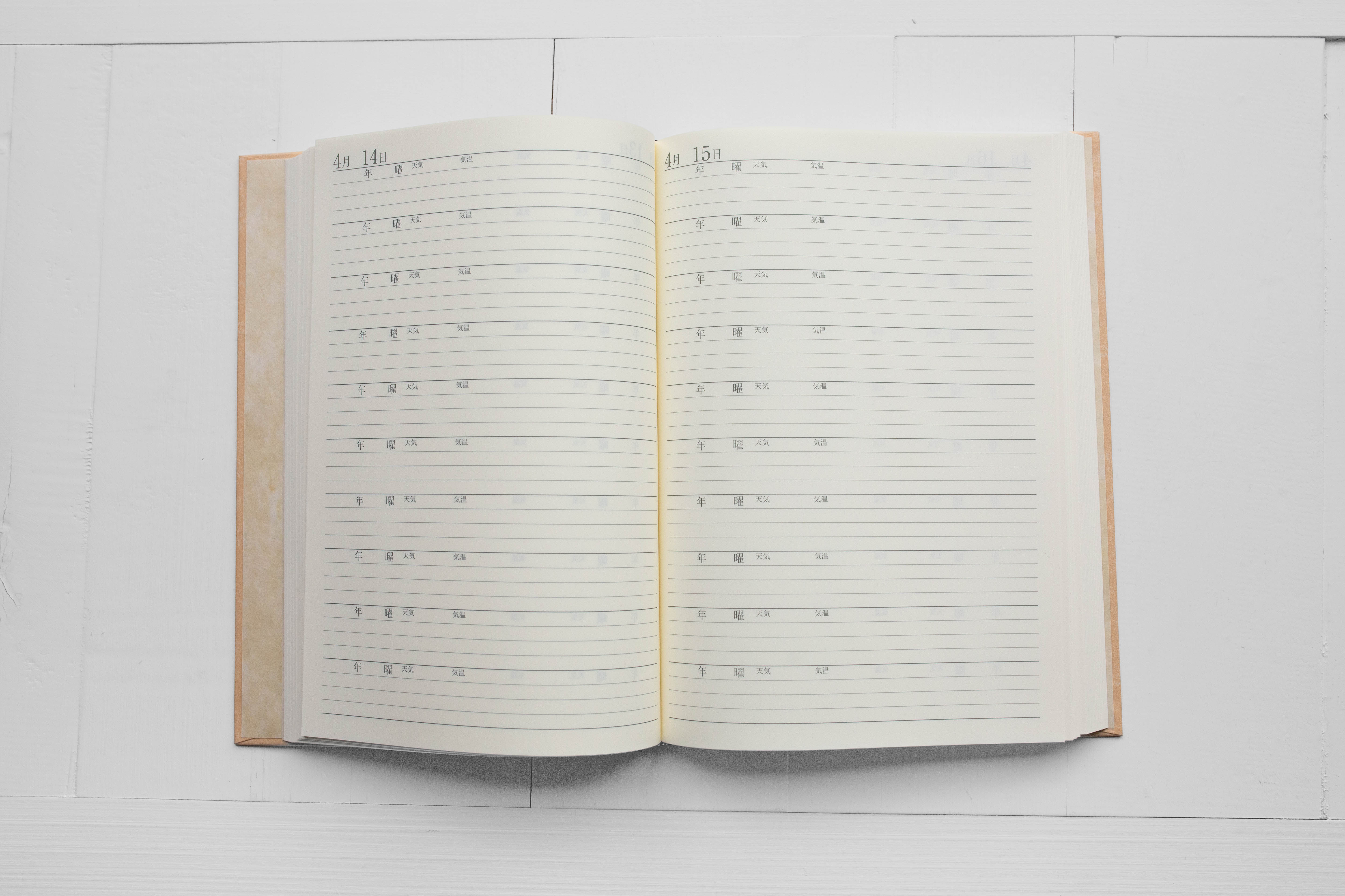 10-Year Diary - Classic