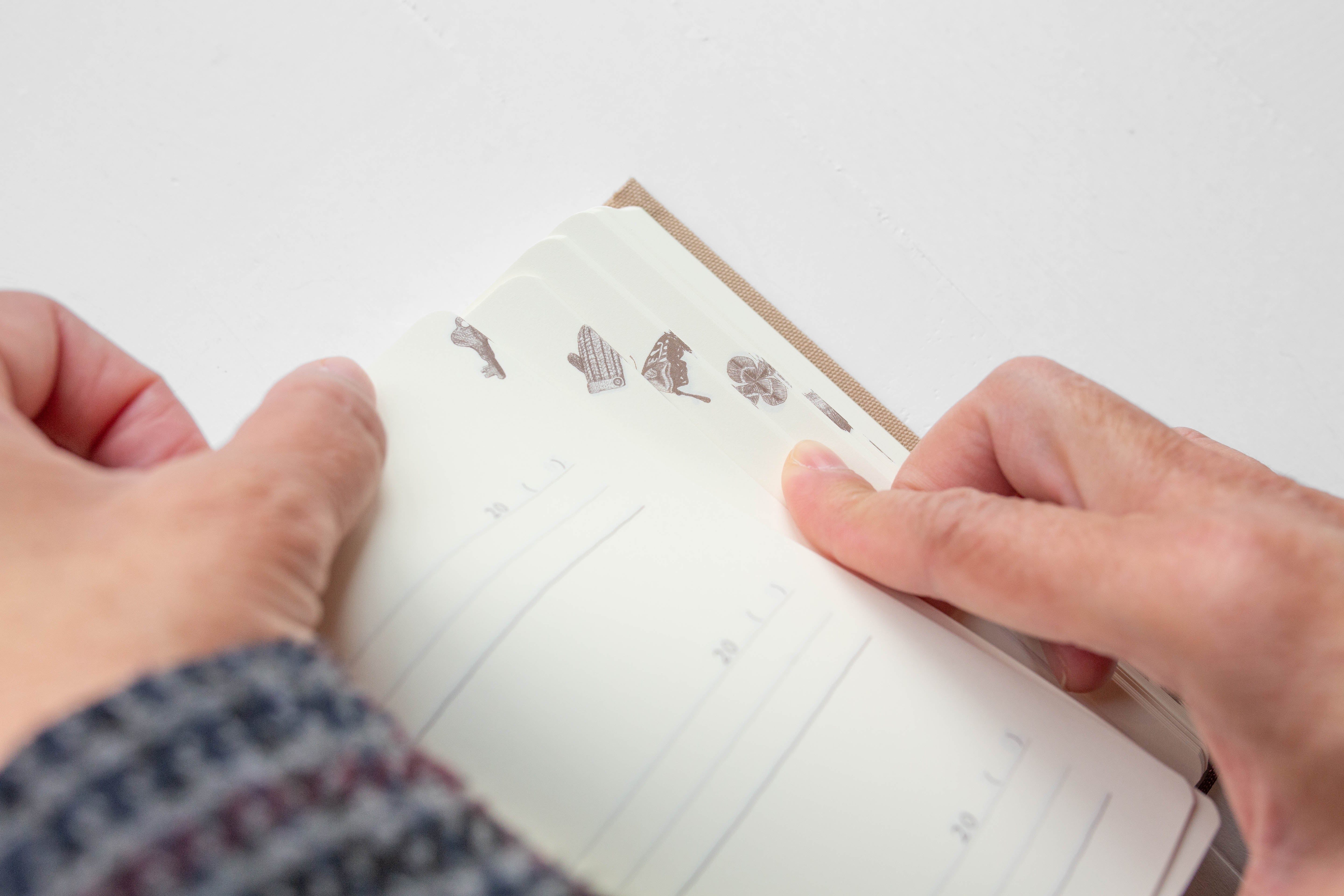 3 Year Journal - Mini