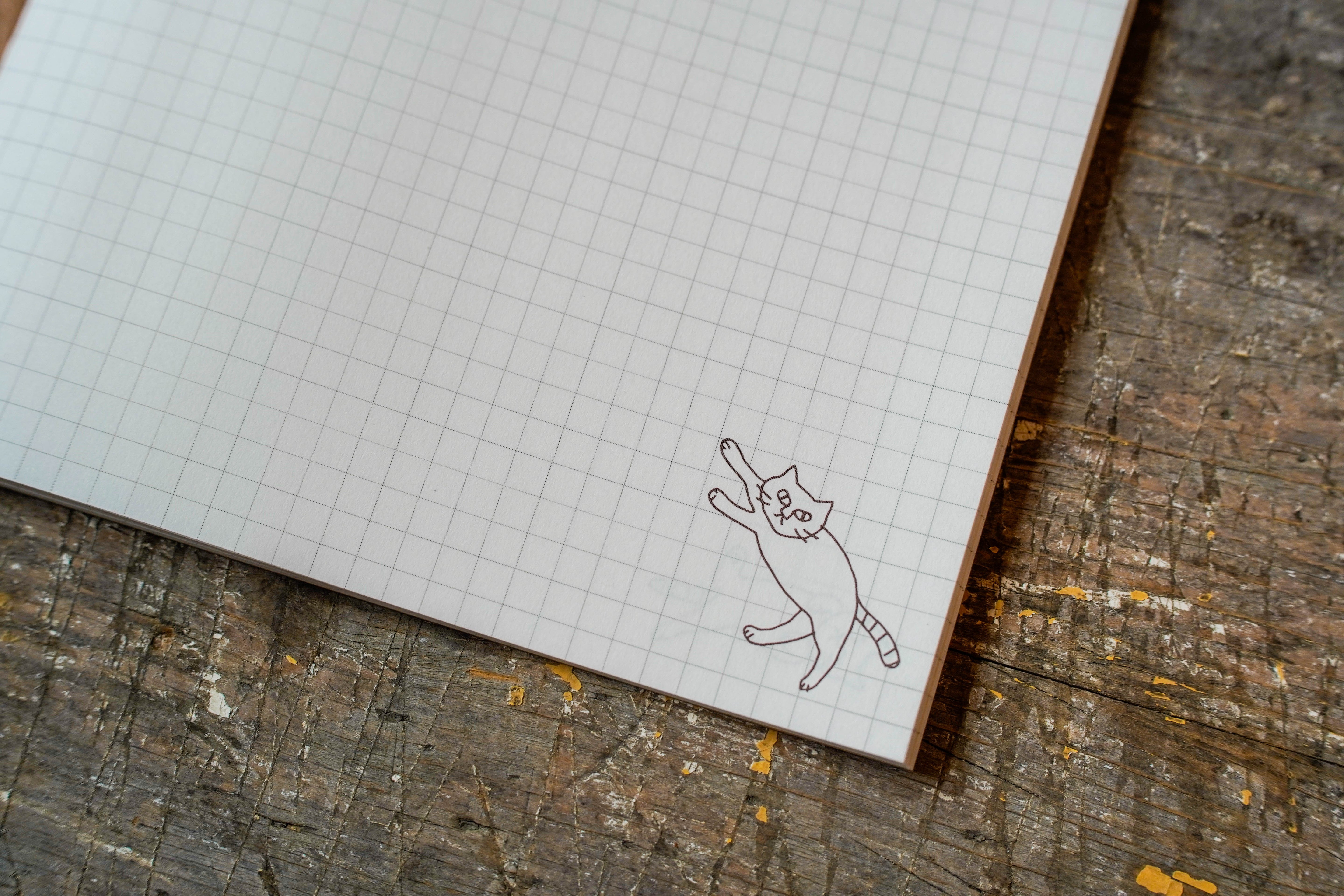 MD Notebook A5 - Cat