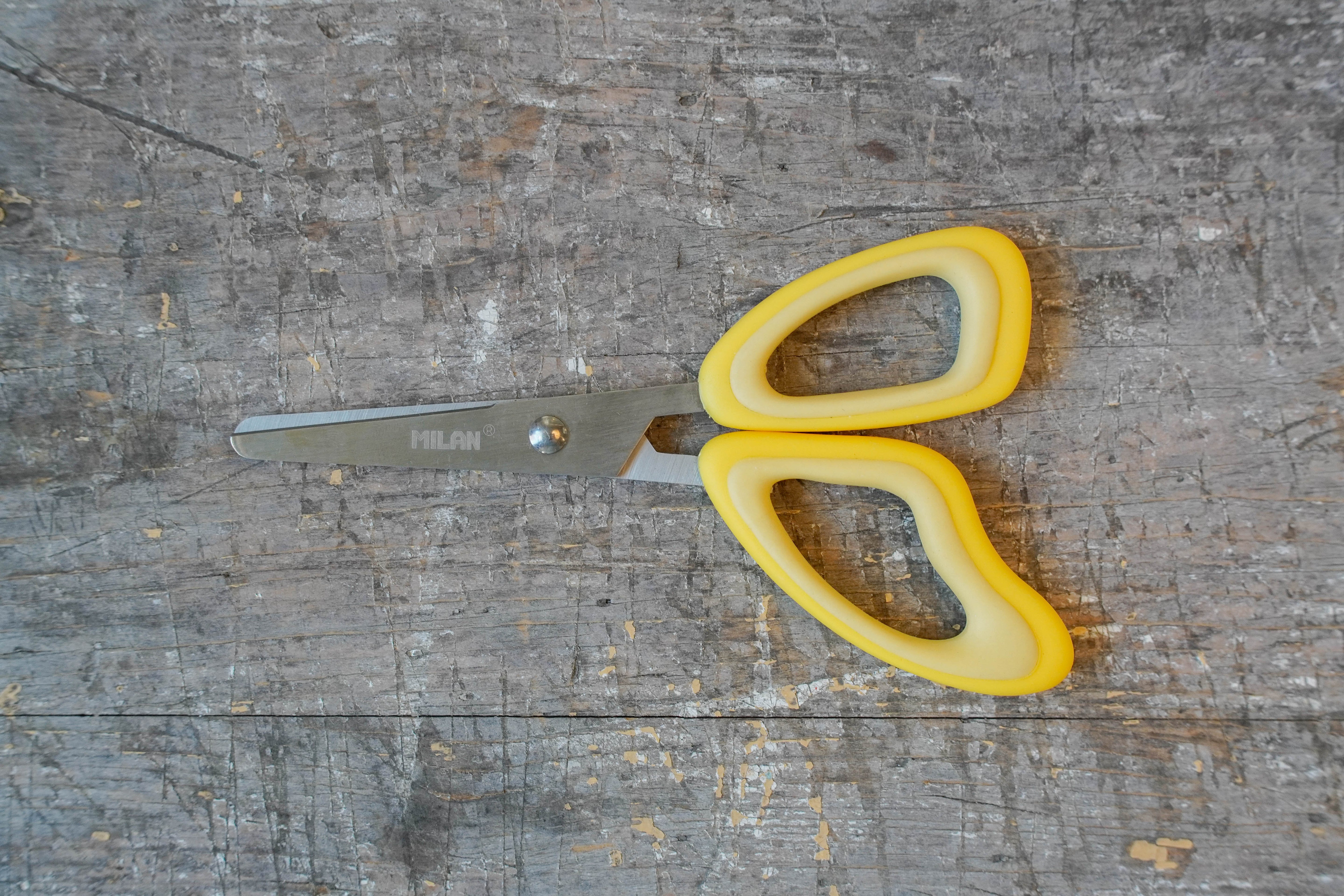 MILAN Butterfly Scissors