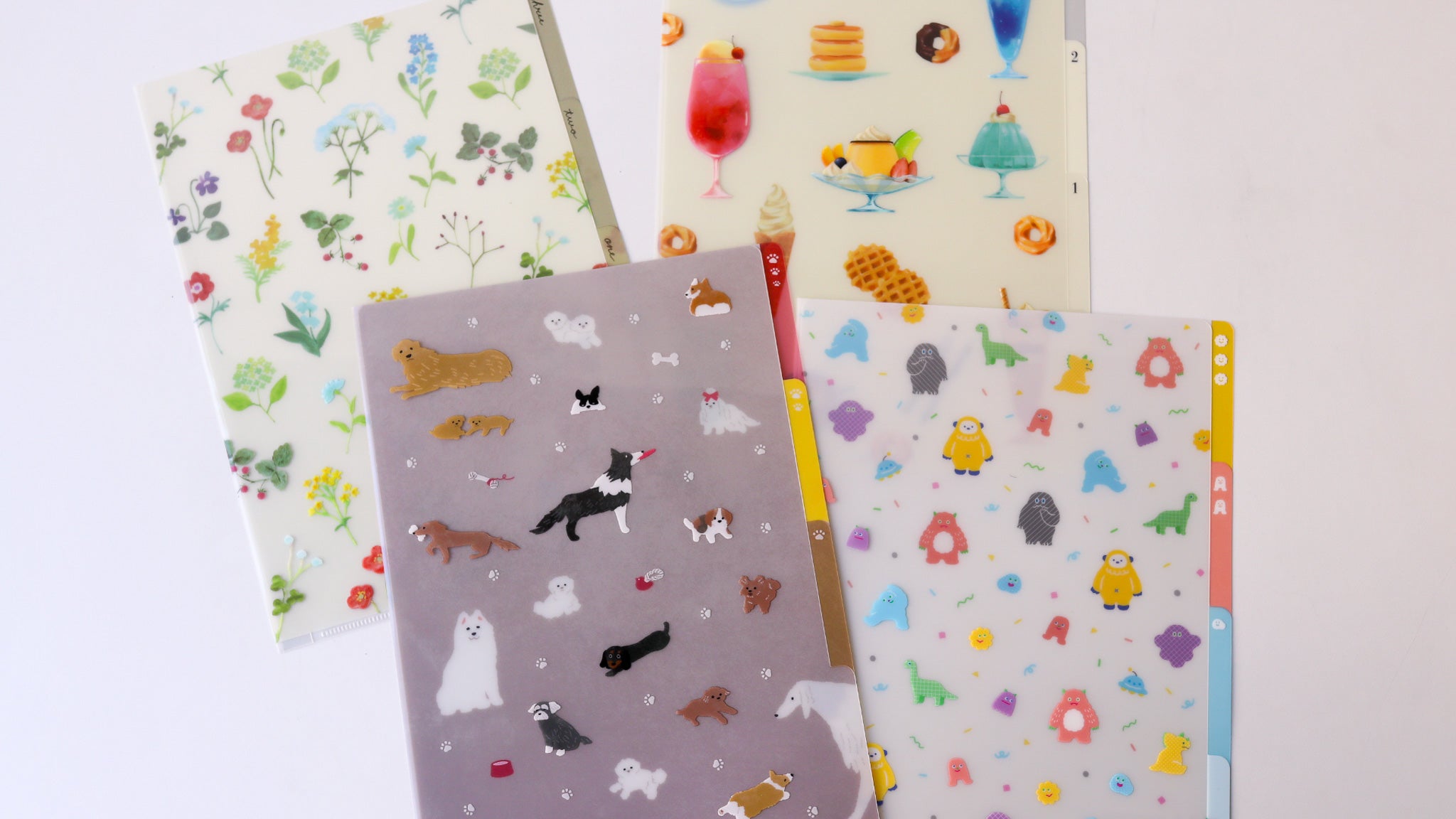 3 Pocket Clear Folder