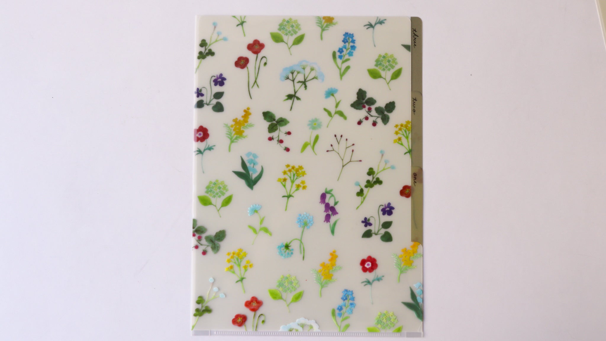 3 Pocket Clear Folder