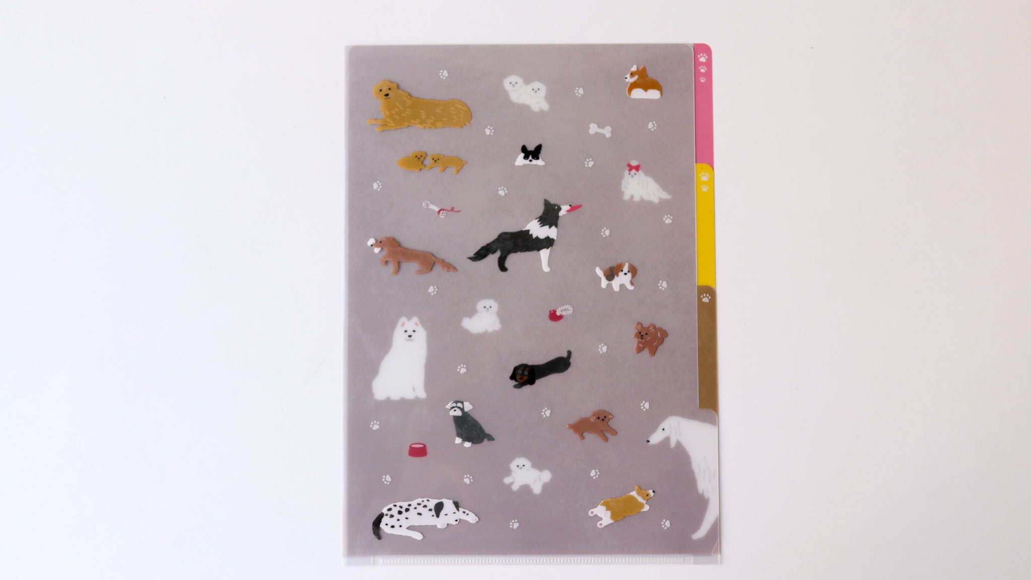 3 Pocket Clear Folder