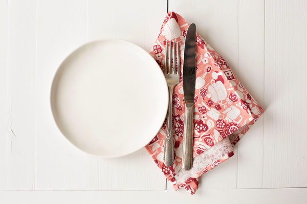 Lively Kitchen Dish Cloth - Pink