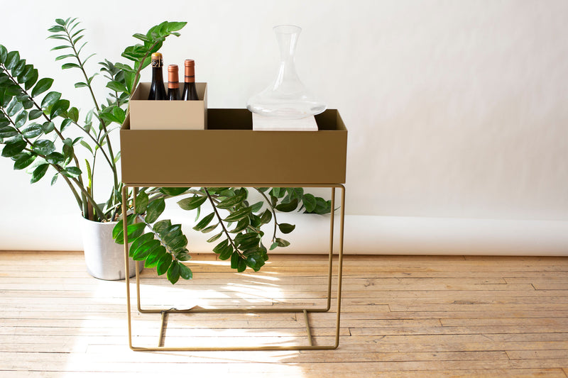 Plant Box - Small