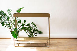 Plant Box Two-Tier