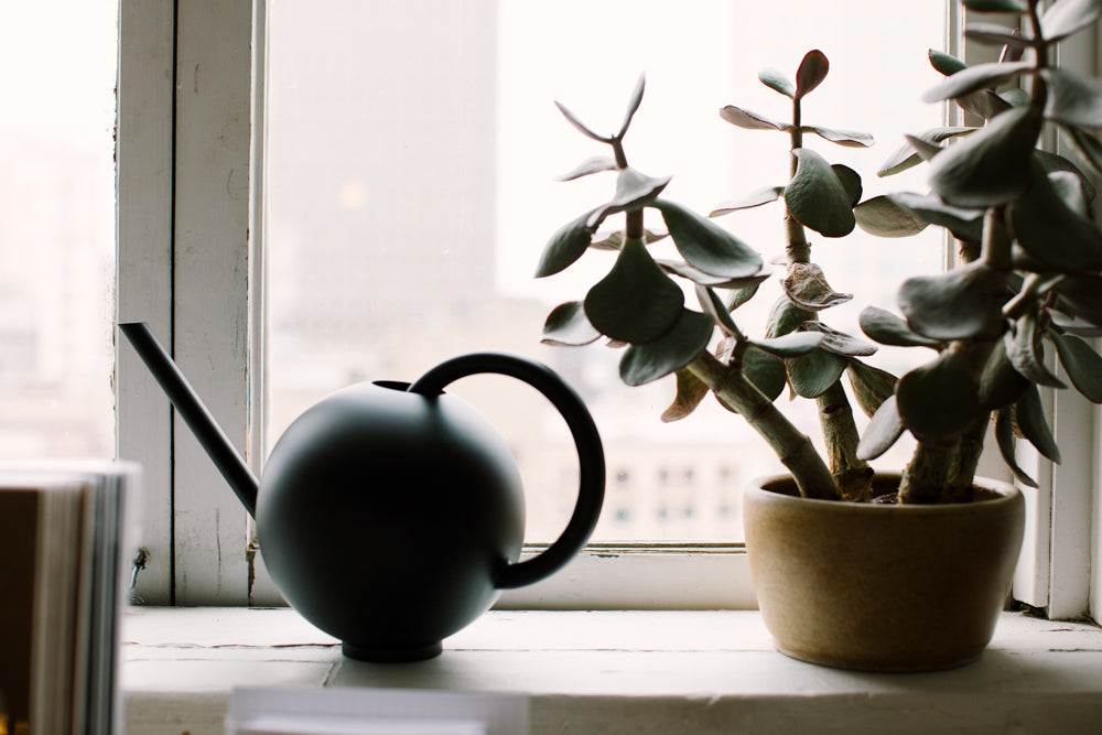 Orb Watering Can