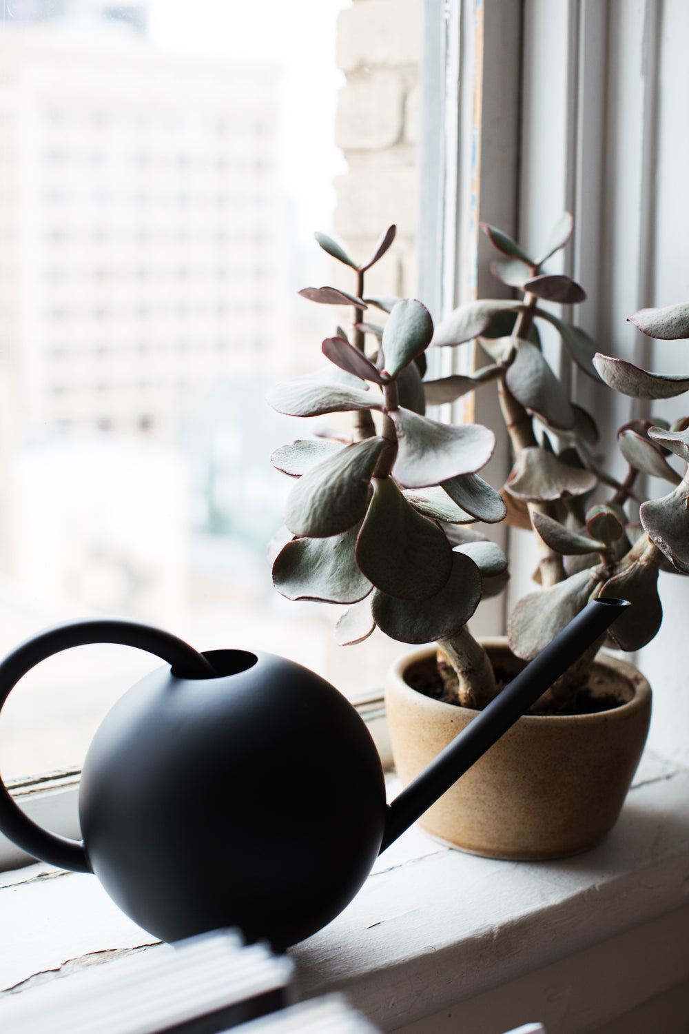 Orb Watering Can